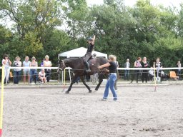 IMG_1384_web